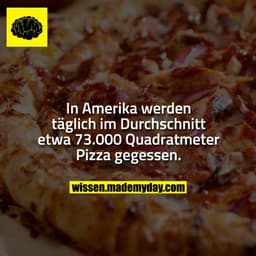 In Amerika werden täglich im Durchschnitt etwa 73.000 Quadratmeter Pizza gegessen.