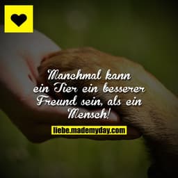 Manchmal kann ein Tier ein besserer Freund sein, als ein Mensch!