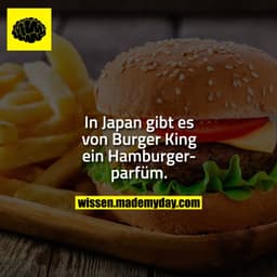 In Japan gibt es von Burger King ein Hamburgerparfüm.