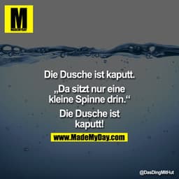 Die Dusche ist kaputt.

"Da sitzt nur eine kleine Spinne drin."

Die Dusche ist kaputt!
