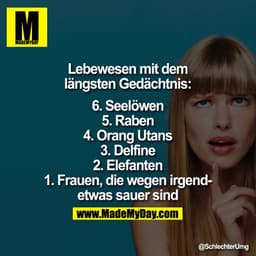 Lebewesen mit dem längsten Gedächtnis:
6. Seelöwen
5. Raben
4. Orang Utans
3. Delfine
2. Elefanten
1. Frauen, die über i