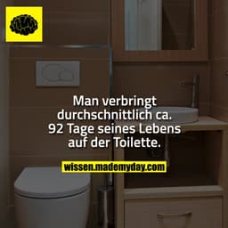 Man verbringt durchschnittlich ca. 92 Tage seines Lebens auf der Toilette.