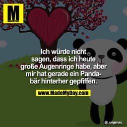 Ich würde nicht sagen, dass ich heute große Augenringe habe, aber mir hat gerade ein Pandabär hinterher gepfiffen.