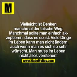 Vielleicht ist Denken
manchmal der falsche Weg.
Manchmal sollte man einfach ak-
zeptieren, dass es so ist. Viele Dinge
i