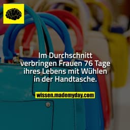 Im Durchschnitt verbringen Frauen 76 Tage ihres Lebens mit Wühlen in der Handtasche.
