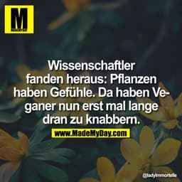 Wissenschaftler fanden heraus: Pflanzen haben Gefühle. Da haben Veganer nun erst mal lange dran zu knabbern.
