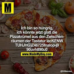 Ich bin so hungrig, ich könnte jetzt glatt die Pizzakrümel aus den Zwischenräumen der Tastatur lecKENWTUH- JHG)Z46725fna
