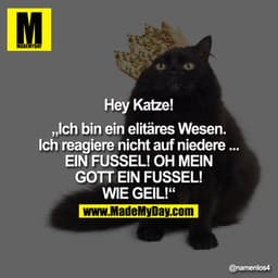 Hey Katze!

"Ich bin ein elitäres Wesen. Ich reagiere nicht auf niedere ...
EIN FUSSEL! OH MEIN GOTT EIN FUSSEL! WIE GEI