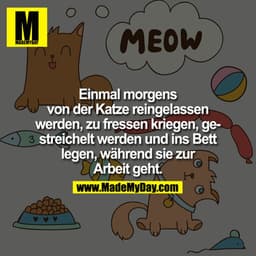Einmal morgens von der Katze reingelassen werden, zu Fressen kriegen, gestreichelt werden und ins Bett legen, während si