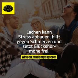 Lachen kann Stress abbauen, hilft gegen Schmerzen und setzt Glückshormone frei.