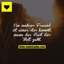 Ein wahrer Freund ist einer, der kommt, wenn der Rest der Welt geht.