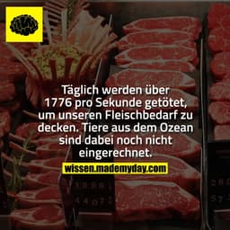 Täglich werden über 1776 pro Sekunde getötet, um unseren Fleischbedarf zu decken. Tiere aus dem Ozean sind dabei noch ni
