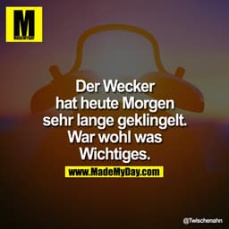 Der Wecker hat heute Morgen sehr lange geklingelt. War wohl was Wichtiges.