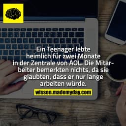 Ein Teenager lebte heimlich für zwei Monate in der Zentrale von AOL.
Die Mitarbeiter bemerkten nichts, da sie glaubten, 
