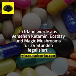 In Irland wurde aus Versehen Ketamin, Ecstasy und Magic Mushrooms für 24 Stunden legalisiert.