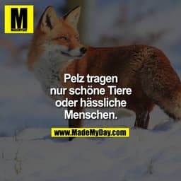 Pelz tragen
nur schöne Tiere
oder hässliche
Menschen.