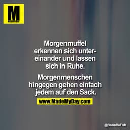 Morgenmuffel erkennen sich untereinander und lassen sich in Ruhe.
Morgenmenschen hingegen gehen einfach jedem auf den Sa
