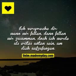 Ich verspreche dir: wenn wir fallen, dann fallen wir zusammen, doch ich werde als erstes unten sein, um dich aufzufangen