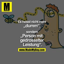 •ID'
Es heisst nicht mehr
„dumm"
sondern
,Person mit
gedrosselter
Leistung"