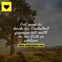 Erst wenn du durch die Dunkelheit gegangen bist, weißt du das Lich zu schätzen.