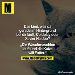 Das Lied, was da
gerade im Hintergrund
bei dir läuft, Coldplay oder
Xavier Naidoo?
„Die Waschmaschine
läuft und die Katz