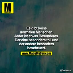 Es gibt keine
normalen Menschen.
Jeder ist etwas Besonderes.
Der eine besonders toll und
der andere besonders
bescheuert