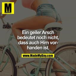 Ein geiler Arsch
bedeutet noch nicht,
dass auch Hirn vorhanden ist.