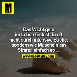 Das Wichtigste
im Leben findest du oft
nicht durch intensive Suche,
sondern wie Muscheln am
Strand, einfach so ...