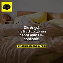 Die Angst ins Bett zu gehen nennt man Clinophobie.