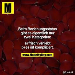 Beim Beziehungsstatus
gibt es eigentlich nur
zwei Kategorien:
a) frisch verliebt
b) es ist kompliziert.
@O_eule_O