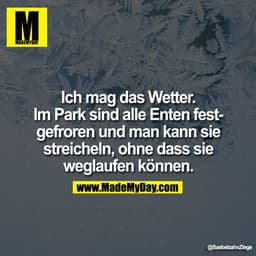 Ich mag das Wetter.
Im Park sind alle Enten festgefroren und man kann sie
streicheln, ohne dass sie
weglaufen können.
@S