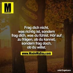 Frag dich nicht,
was richtig ist, sondern
frag dich, was du fühlst. Hör auf
zu fragen, ob du kannst,
sondern frag doch,
