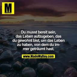 Du musst bereit sein,
das Leben aufzugeben, das
du gewohnt bist, um das Leben
zu haben, von dem du immer geträumt hast.