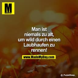 Man ist
niemals zu alt,
um wild durch einen
Laubhaufen zu
rennen!
@ PurpleSheep_