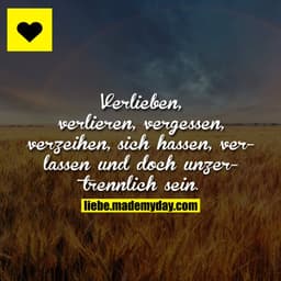 Verlieben, verlieren, vergessen, verzeihen, sich hassen, verlassen und doch unzertrennlich sein.
