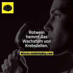 Rotwein hemmt das Wachstum von Krebszellen.