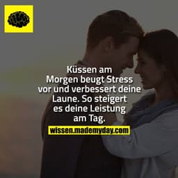 Küssen am Morgen beugt Stress vor und verbessert deine Laune. So steigert es deine Leistung am Tag.