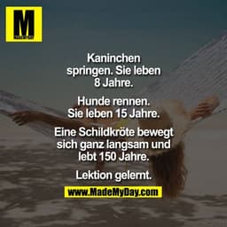 ?KANINCHEN SPRINGEN 
UND LEBEN
 8 JAHRE.

HUNDE RENNEN UND LEBEN
 15 JAHRE.

EINE SCHILDKRO?TE BEWEGT SICH GANZ LANGSAM
