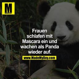 Frauen schlafen mit Mascara ein und wachen als Panda wieder auf.