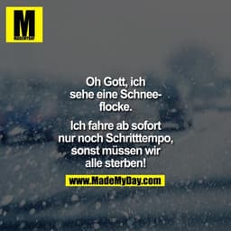 Oh Gott, ich sehe eine Schneeflocke.

Ich fahre ab sofort nur noch Schritttempo, sonst müssen wir alle sterben!