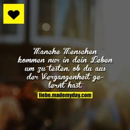 Manche Menschen kommen nur in dein Leben um zu testen, ob du aus der Vergangenheit gelernt hast.