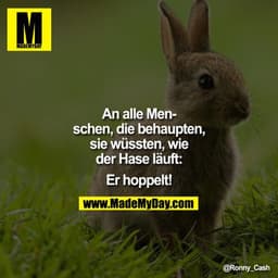 An alle Menschen, die behaupten, sie wüssten, wie der Hase läuft:

Er hoppelt!