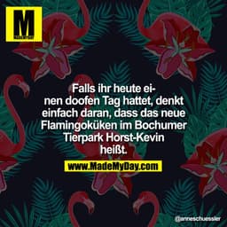 Falls ihr heute einen doofen Tag hattet, denkt einfach daran, dass das neue Flamingoküken im Bochumer Tierpark Horst-Kev
