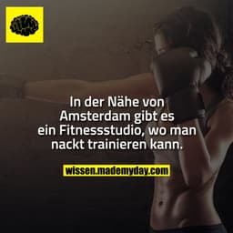 In der Nähe von Amsterdam gibt es ein Fitnessstudio, wo man nackt trainieren kann.