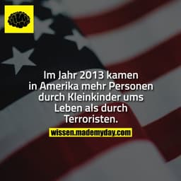 Im Jahr 2013 kamen in Amerika mehr Personen durch Kleinkinder ums Leben als durch Terroristen.