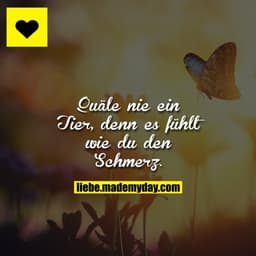 Quäle nie ein Tier, denn es fühlt wie du den Schmerz.