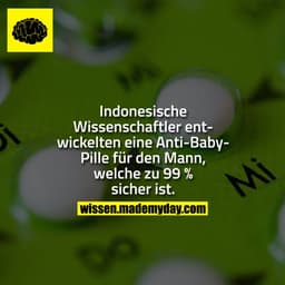 Indonesische Wissenschaftler entwickelten eine Anti-Baby-Pille für den Mann, welche zu 99 % sicher ist.