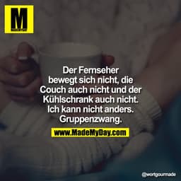 Der Fernseher bewegt sich nicht, die Couch auch nicht und der Kühlschrank auch nicht.
Ich kann nicht anders.
Gruppenzwan