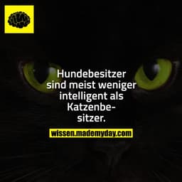 Hundebesitzer sind meist weniger intelligent als Katzenbesitzer.