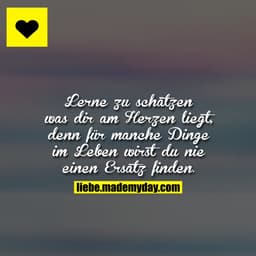 Lerne zu schätzen was dir am Herzen liegt, denn für manche Dinge im Leben wirst du nie einen Ersatz finden.